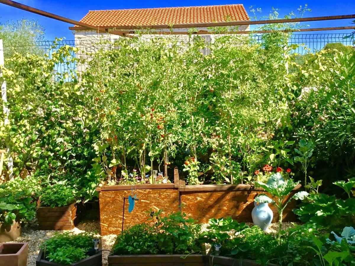 Heritage Villa Aquamarine مالينسكا المظهر الخارجي الصورة